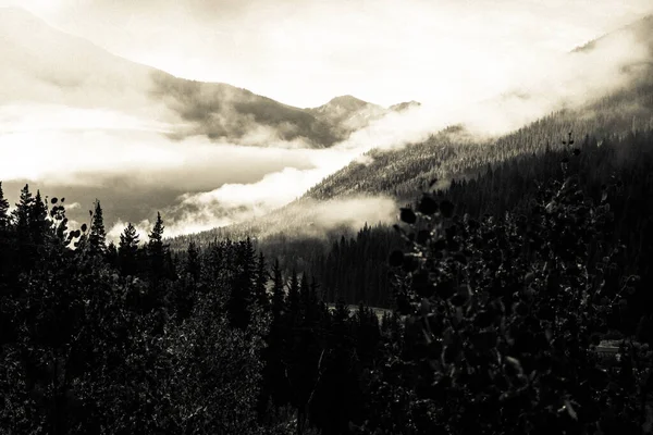 Malebný Pohled Les Pohořím San Juan Pozadí Silvertonu Coloradu — Stock fotografie