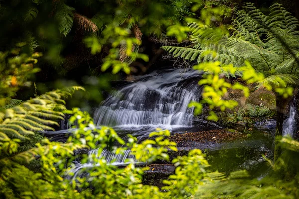 维多利亚州奥特威国家公园 一个风景秀丽的瀑布从布满苔藓的岩石上流下 — 图库照片