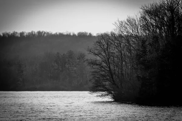 Lovitură Scară Gri Apă Calmă Lac Înconjurată Copaci Frunze Înalte — Fotografie, imagine de stoc