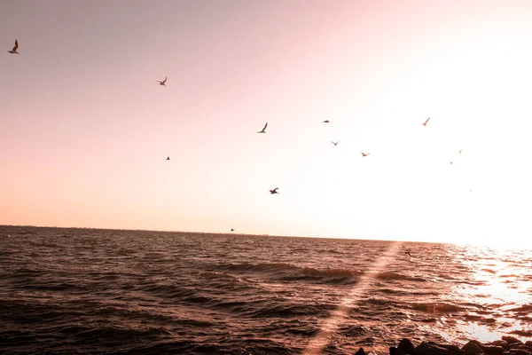 Uma Bela Paisagem Mar Nascer Sol — Fotografia de Stock