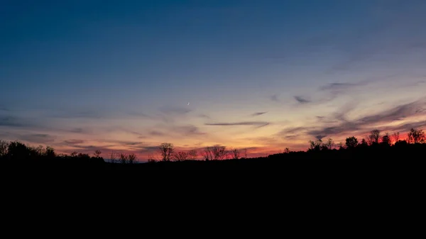 Une Vue Silhouette Des Arbres Des Plantes Contre Beau Ciel — Photo