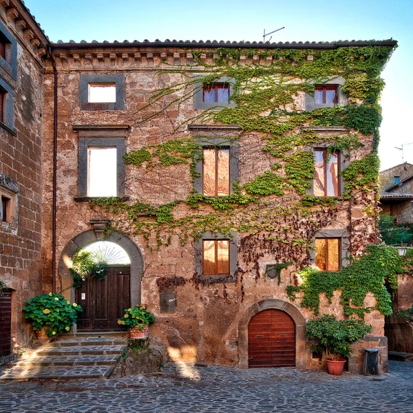 Decaying Stone Building Vines Covering Walls Civita Bagnoregio Italy — Stock Photo, Image