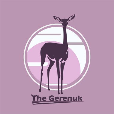 Gerenuk logo hayvanları, Litocranius Walleri, zürafa ceylanı