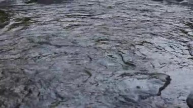 Rüzgarlı bir günde bir göle yakın çekim