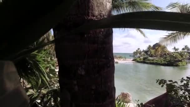 Nagranie Zapierającej Dech Piersiach Tropikalnej Plaży Wlotowej Palmami Xcaret Riviera — Wideo stockowe
