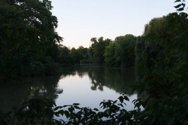 Nehir kenarındaki yeşil orman manzarası, sudaki ağaç yansımalarıyla...