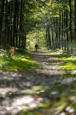 Yoğun yeşil bitki örtüsüyle güzel ormanda yürüyen bir adamın dikey görüntüsü..