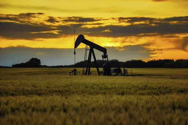 Una Bomba Aceite Extrae Petróleo Crudo Pozo Aceite Campo Trigo — Foto de Stock