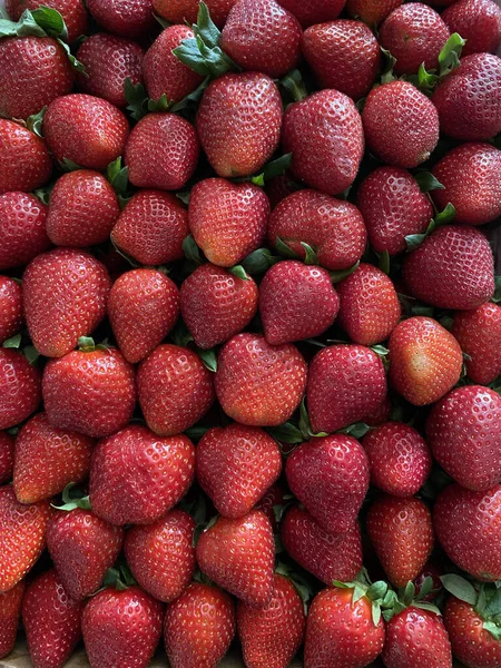 赤い新鮮なイチゴ 自然熱帯果実 — ストック写真