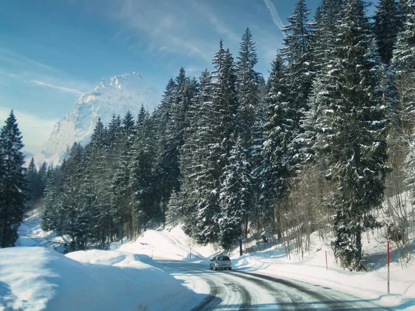 Una Vista Panorámica Bosque Invierno Fondo Nublado Del Cielo —  Fotos de Stock