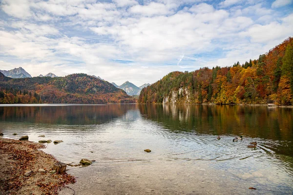 Uma Bela Vista Lago Lado Uma Floresta Temporada Outono Céu — Fotografia de Stock