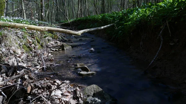 Sanftes Und Weiches Wasser Einem Bach Durch Langzeitbelichtung — Stock fotografie