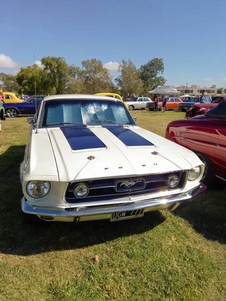 Chascomus アルゼンチン 2022年4月9日 1967年前後にホワイトスポーツマッスルのフォードマスタング289 V8クーペが芝生の上に停まっていた 晴れた日 クラシックカーショー — ストック写真