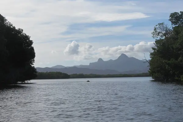 Belo Tiro Lago Calmo Cercado Por Vegetação Crescente Cordilheira — Fotografia de Stock