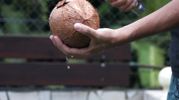 Närbild Hand Som Bryter Kokosnöt Med Kniv Tahiti Polynesien — Stockvideo