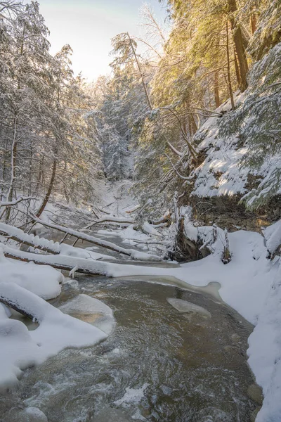 晴れた冬の日に森の中の川の美しい景色 — ストック写真