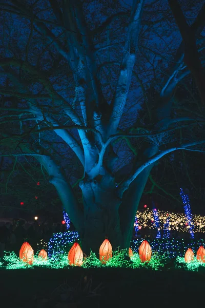 Vertical Shot Vibrant Bright Lights Tree Holiday Season Night — Stock Photo, Image