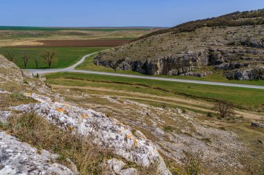 Romanya 'nın Dobruja kentinde tarlalarla çevrili bir kırsal yol
