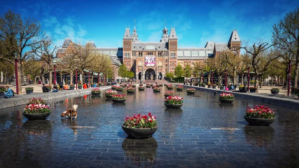 Primo Piano Del Rijksmuseum Amsterdam Con Tulipani — Foto Stock