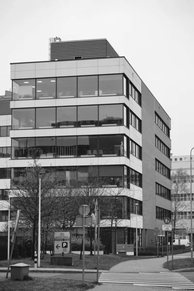 Снимок Пешеходной Дорожки Черно Белом Цвете Рядом Современным Офисным Зданием — стоковое фото