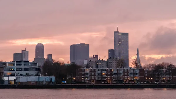 オランダのロッテルダムの水の近くの近代的な建物の低角度ショット — ストック写真