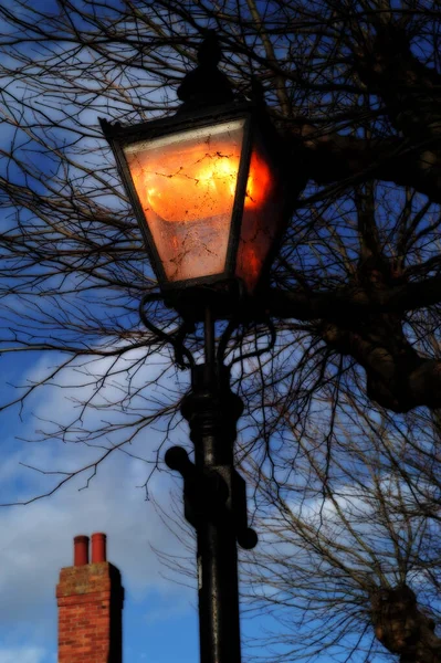 Vertical Shot Victorian Gas Street Lamp Front Bare Tree Blue — Stock Photo, Image