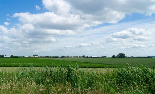 Bulutlu Gökyüzü Arka Planında Kırsal Alanda Yeşil Bir Alanın Manzarası — Stok fotoğraf