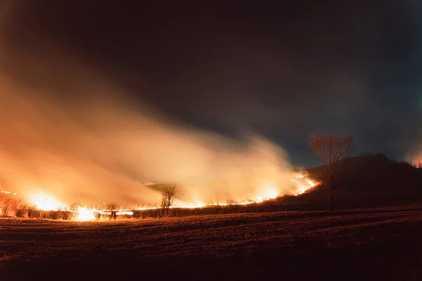 Uma Vista Fogo Selvagem Campo Noite — Fotografia de Stock