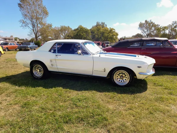 Chascomus Argentina Apr 2022 Vit Sportmuskel Ford Mustang 289 Coupe — Stockfoto