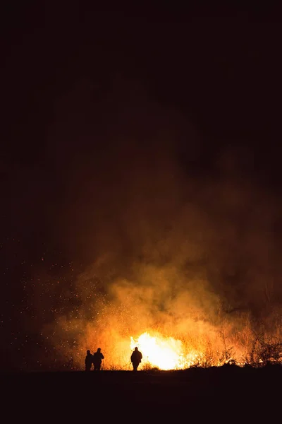 Pohled Lesní Požár Poli Večerních Hodinách — Stock fotografie