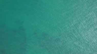 Tropikal ağaçlarla kıyı şeridinin havadan görünüşü