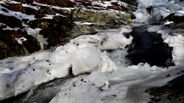 Río Que Fluye Través Las Heladas Orillas Invierno Las Montañas — Vídeo de stock