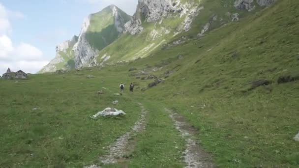 Video Dos Excursionistas Caminando Hacia Las Montañas Los Alpes Suizos — Vídeos de Stock