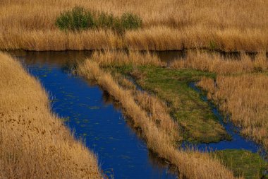 Romanya 'nın Dobruja kentinde kuru çimlerle çevrili dar bir nehir