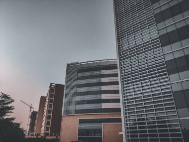 İnsanlar tarafından yapılmış beton ağaçlar.