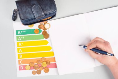 Boş kağıt, Euro para sikkeleri, elektrik tüketimi grafiksel, artan elektrik maliyetleri, yeşil teknoloji, enflasyon, yoksulluk ve çevre sorunu