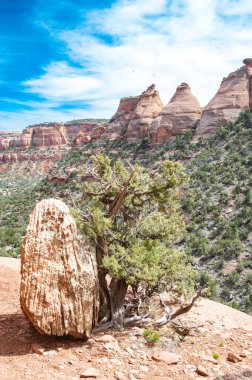 Güzel bir dağ manzarası büyüleyici bir manzara.