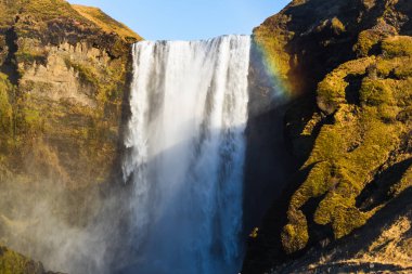 İzlanda 'da güzel bir Skogafoss şelalesi ve gökkuşağı.