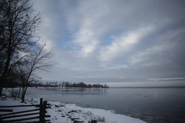 Nehir kenarında büyüyen yapraksız ağaçların büyüleyici manzarası. Bu arada bölge karla kaplıydı.