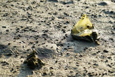 Kumun üzerindeki çöplerin yakın plan çekimi.
