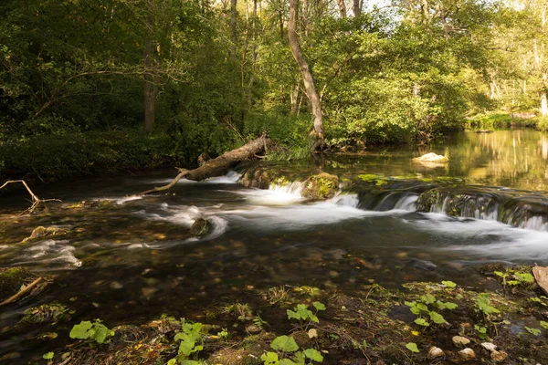 Beau Plan Une Rivière Dans Forêt — Photo