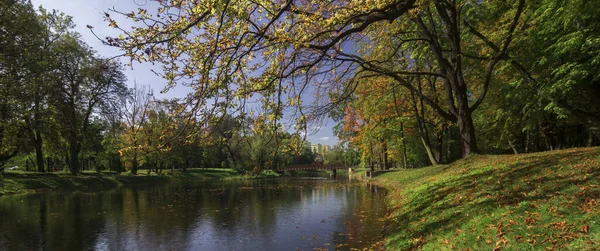 Ein Panoramablick Auf Einen Schönen Fluss Wald Einem Sonnigen Tag — Stockfoto