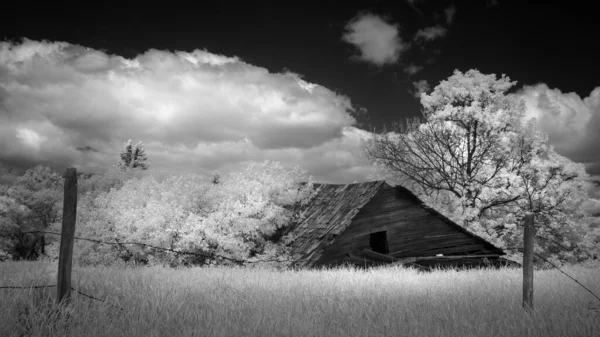 黒と白の曇りの空の下で木々の間のフィールド内の古い 壊れた 木製の農家のパノラマのショット カナダのマニトバ州 — ストック写真