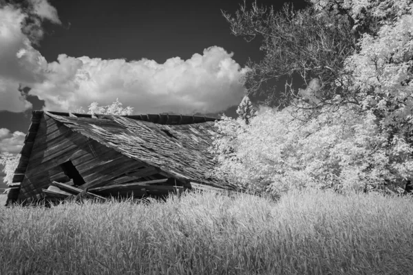 Starý Polámaný Dřevěný Statek Poli Mezi Stromy Pod Zataženou Oblohou — Stock fotografie