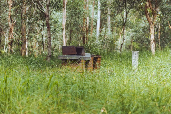 Een Oude Barbeque Omgeven Door Lang Gras Australië — Stockfoto