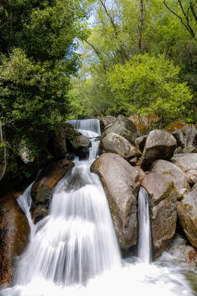 Uma Bela Vista Uma Cachoeira Uma Floresta Dia Ensolarado — Fotografia de Stock