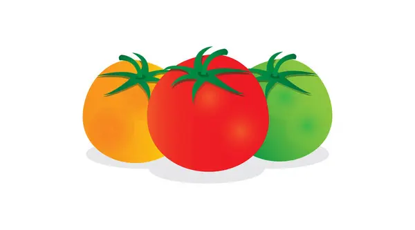 Eine Vektorillustration Von Roten Grünen Und Gelben Tomaten Isoliert Auf — Stockvektor
