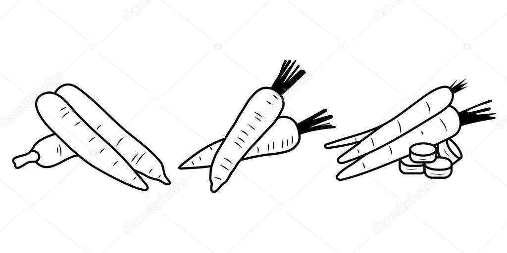 vector illustration of carrot doodle three different shape. isolated on white background.