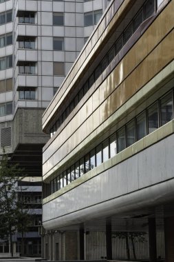 Eski bir binanın dikey görüntüsü yeşil bir ağacın yanındaki yüksek katlı bir binaya karşı.