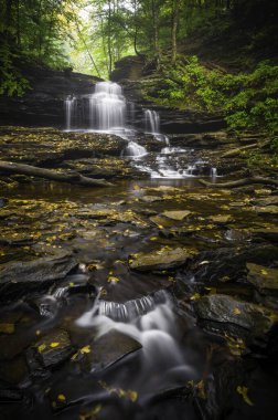 Pennsylvania 'daki Ricketts Glen Eyalet Parkı' nda manzaralı şelaleler.